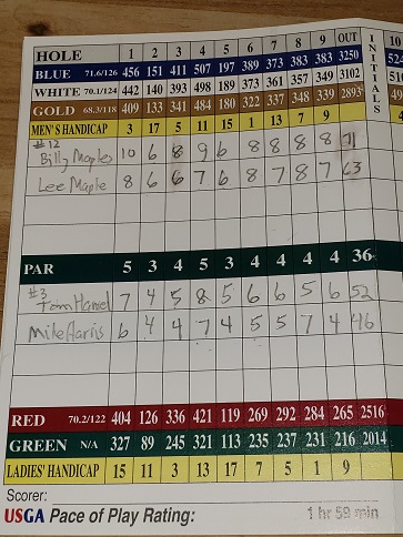 Picture of Scorecard